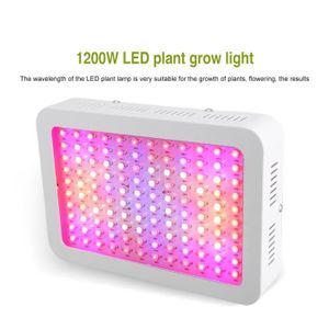 2000W Lampe Horticole LED Croissance Floraison à 312 LED,Lampe pour Plante  Spectre Complet,Grow Light pour Plantes Fleurs et Légu262 - Cdiscount Jardin