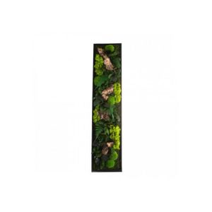 MUR VÉGÉTAL STABILISÉ Tableau végétal CANOPEE Panoramic 40 x 140 cm