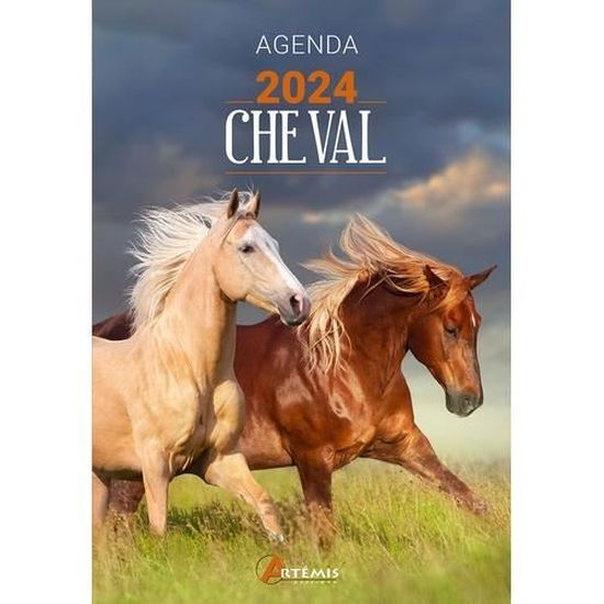 Agenda scolaire OBERTHUR Cheval Wild 2023-2024 - Cdiscount Beaux-Arts et  Loisirs créatifs