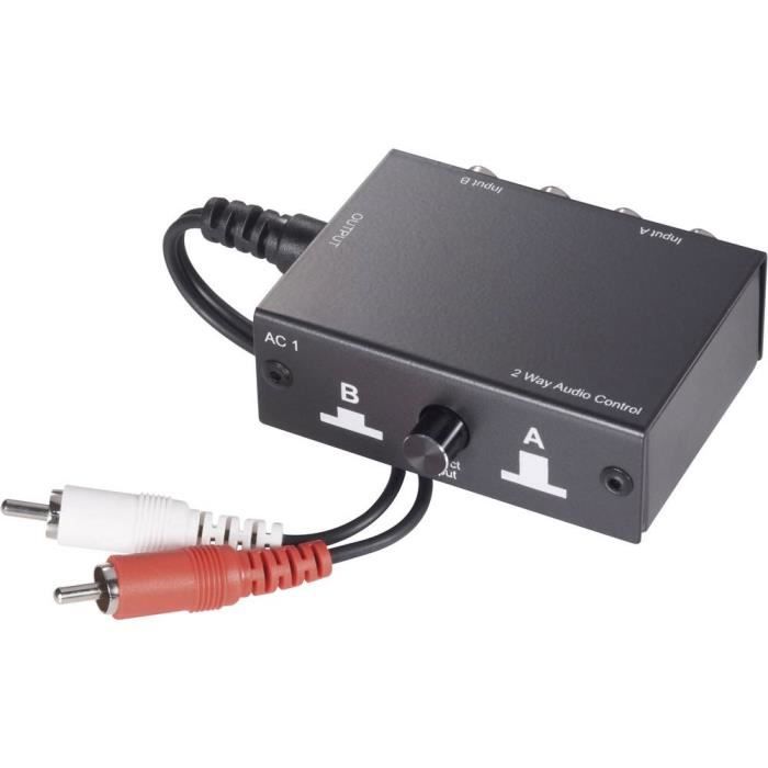 SWITCH - HUB ETHERNET - INJECTEUR - Switch RCA/audio SpeaKa Professional SP-5741544 2 ports 1 pc(s)