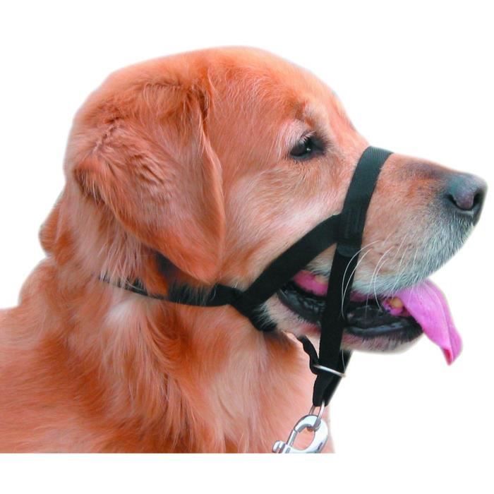 Nobby Easy Leader Muselière pour Chien Noir Taille 4: Animalerie