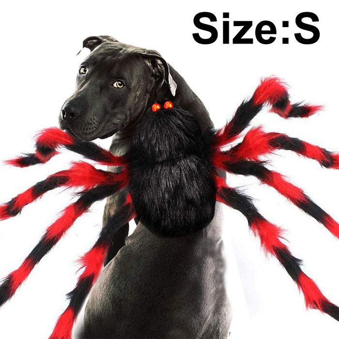 Meilleurs prix pour Costume d’araignée pour animaux déguisement d’Halloween pour chiens et chats taille moyenne à petite accessoires de fête