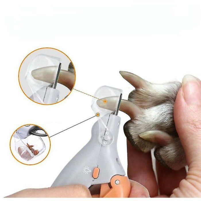 Meilleurs prix pour Ciseaux pour coupe-ongles - Professionnel - Chien - LED - Acier inoxydable - Anti-éclaboussures