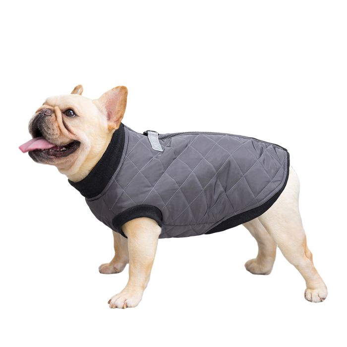 Manteau pour chien et chat avec laisse couleur ancre gilet pour chiot costume de chihuahua carlin (gris)