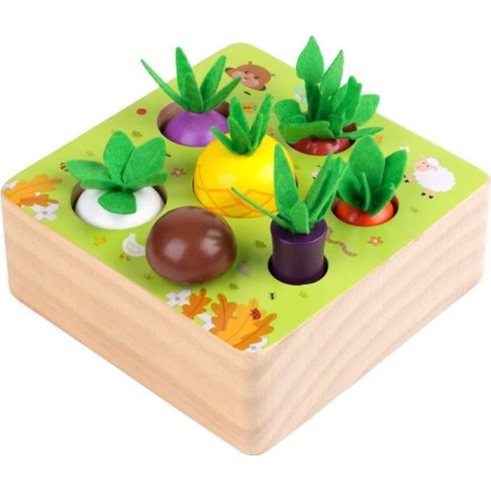 Jouet en Bois Jeu de tri Motricité Fine Jouets Bebe