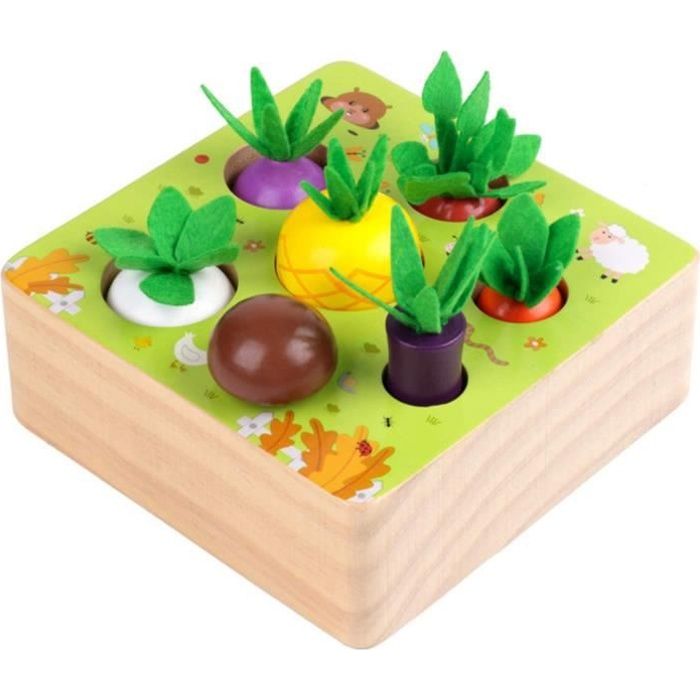 Jouet En Bois Jeu De Tri Motricit Fine Jouetsjouet Enfant 1 2 3