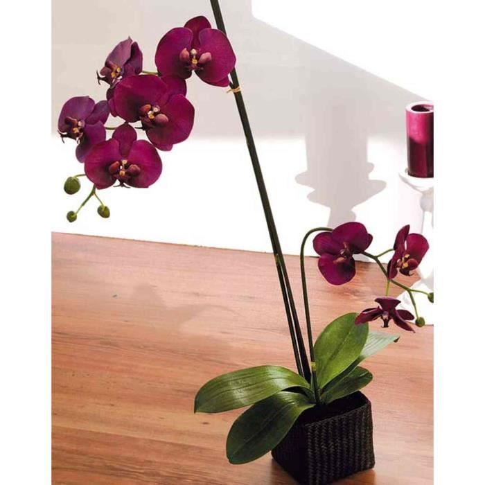 Artplants.de Orchidée Artificielle Phalaenopsis XIUMARA, Corbeille tressée, Violet  foncé, 80cm - Fausse orchidée - Phalaenopsis Ar - Cdiscount Maison