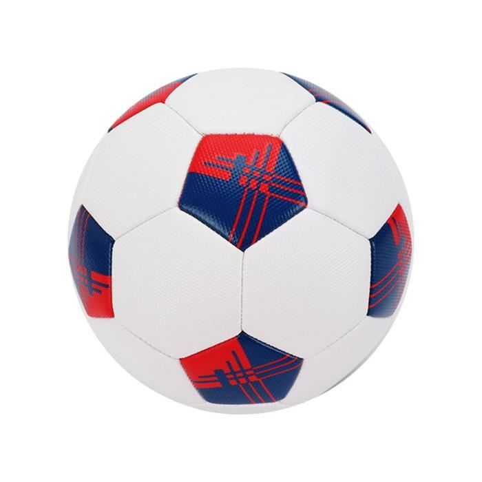 Lot De 2 Ballons De Football Professionnel Taille 5 Bleu - PVC Résistant Pour Matches Et Entraînements
