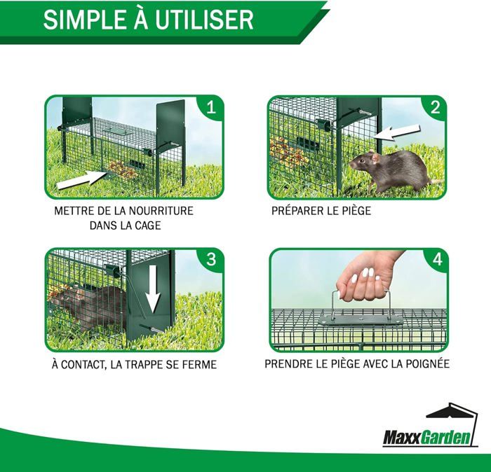 Pige Rat Jardilandnull