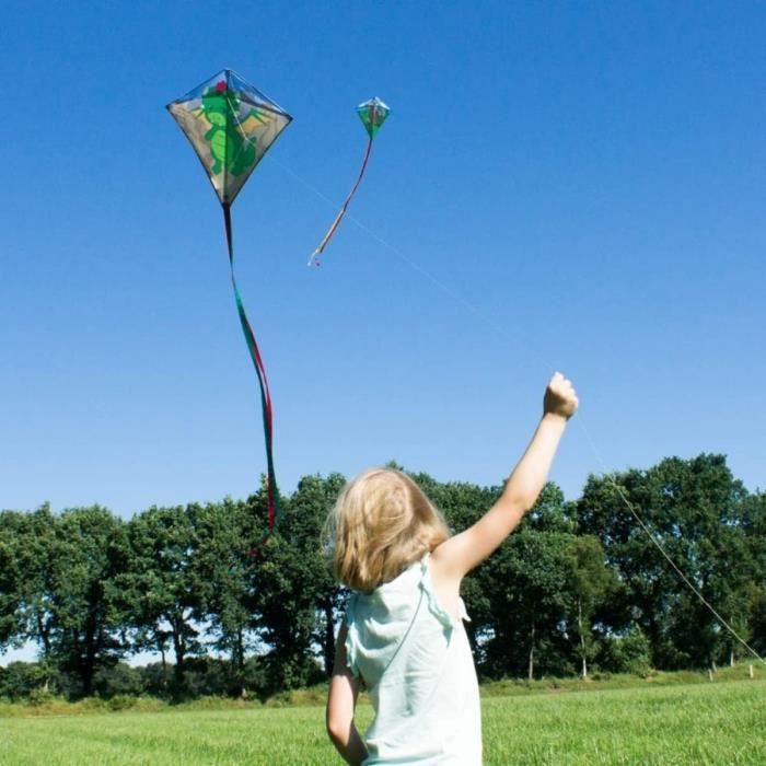 Cerf-Volant Monofil Rainbow Eddy - Enfant 3 Ans+, 65x74cm, Ligne 80m, Queues Multicolores, Toile Polyester