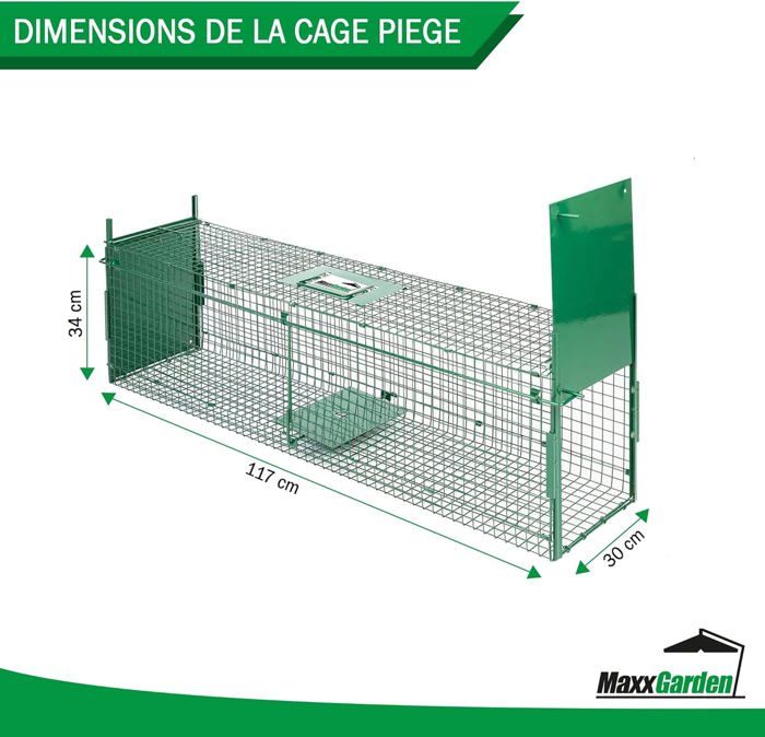 Pige Rat Jardilandnull