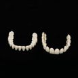 EBTOOLS prothèse dentaire en résine 10pcs résine prothèse dentaire dents modèle d'enseignement accessoire d'approvisionnement-0