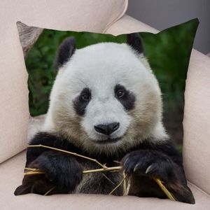 Peluche Panda Géant Oreiller- ZOLA