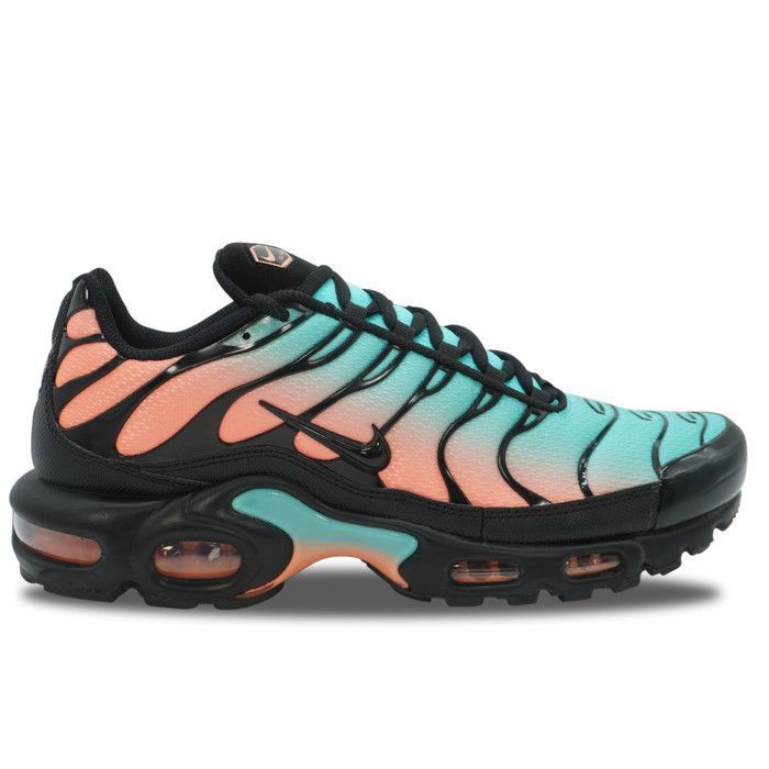 Nike Nike Air Max Plus TN South Beach - DM0032-022_42
