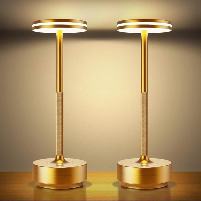 Lampe LED Sans Fil 5000mAh Rechargeable USB - 2 PCS 3 Températures Couleur IP54