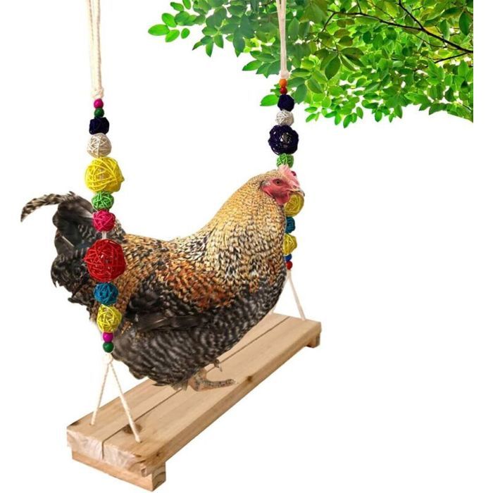 Balançoire pour poulailler - OKZ® - Bois naturel - Longueur 40 cm - Corde et perles de bois - Non toxique