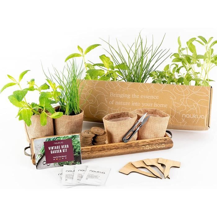 Kit Prêt à Pousser 10 Bonsaïs CULTIVEA - Graines Rares, Pots, Outils Complet - Cadeau Jardinage Made In France - 7