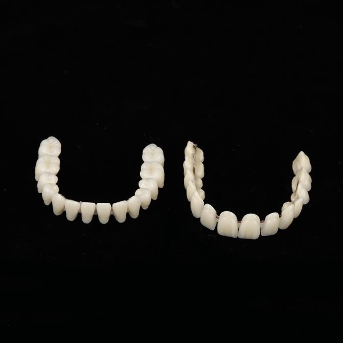 EBTOOLS prothèse dentaire en résine 10pcs résine prothèse dentaire dents modèle d'enseignement accessoire d'approvisionnement