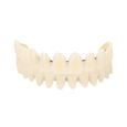 EBTOOLS prothèse dentaire en résine 10pcs résine prothèse dentaire dents modèle d'enseignement accessoire d'approvisionnement-1