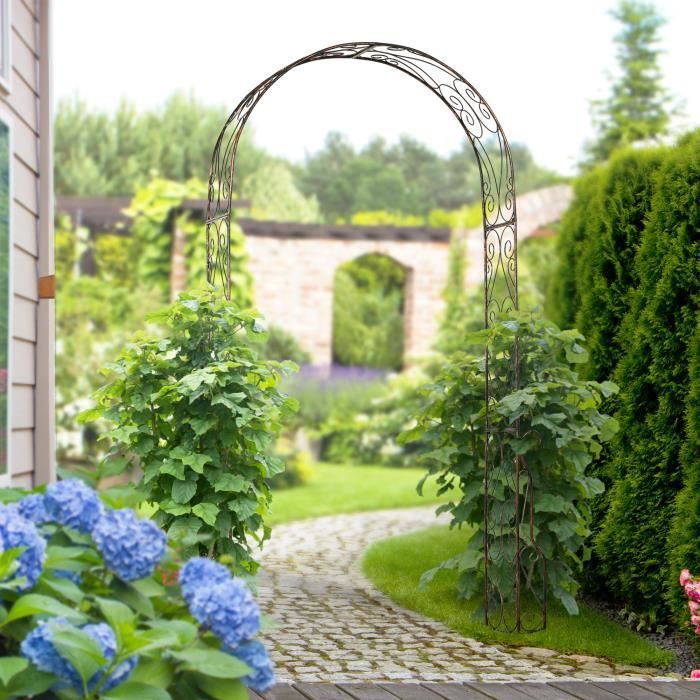 Arche Volutes Arche à Fleurs Rosiers Tuteur Plantes de Jardin Passage en  Métal Marron 40x120x220cm
