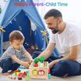 Jouet Bébé en Bois, Jeu de Tri Montessori Puzzle en Bois Récolte de Carottes Jouet apprentissage préscolaire pour enfants de 1-3-2