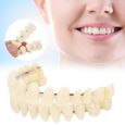 EBTOOLS prothèse dentaire en résine 10pcs résine prothèse dentaire dents modèle d'enseignement accessoire d'approvisionnement-3