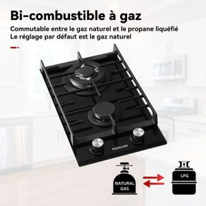 Hermitlux Plaque De Cuisson Gaz 2 Feux Encastrable 4300W - Verre Noir, Gaz Ville Et Bouteille, Sécurité Thermocouple