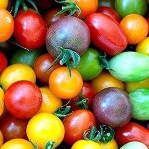 GRAINES 100Pièces Mélanger Des Graines De Tomates Cerises 