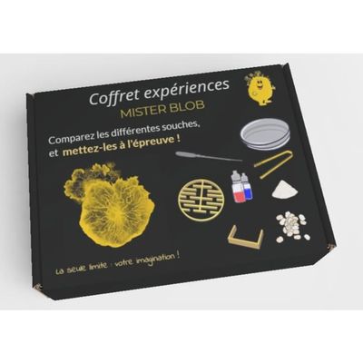 Nuyikaso Kit D'exploration Insectes – Boîte D'observation, 12 Faux Insectes, Loupe 360°, Filet, Pince – Dès 3 Ans