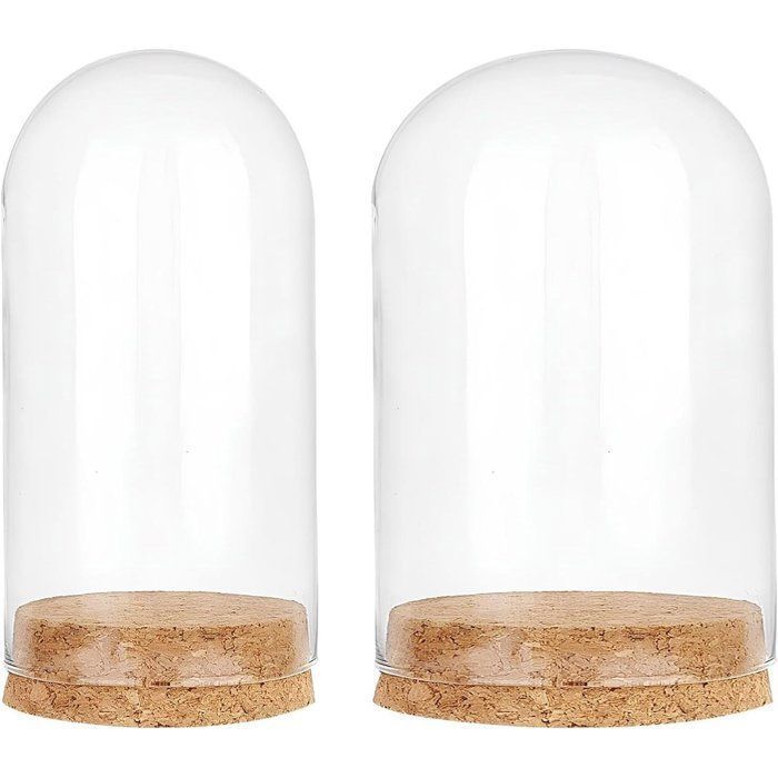 Un ensemble de deux mini cloches en verre avec dômes en verre transparent et fonds en liège – parfaites pour décorer les Balaena BV