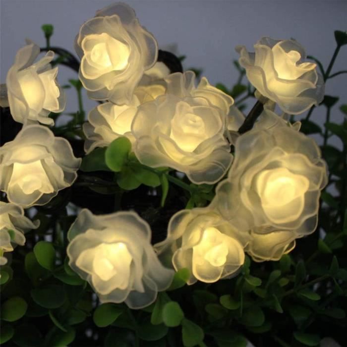 guirlandes de fleurs solaires - - 6m 30led - rose - extérieur-intérieur - blanc chaud - led - solaire