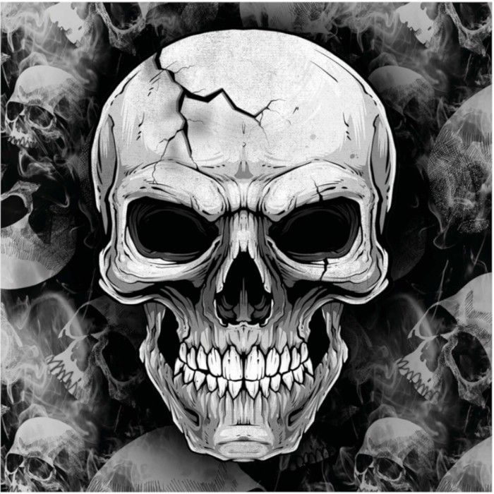 12 SERVIETTES DE TABLE JETABLE PAPIER TÊTE DE MORT 32CM NOIR