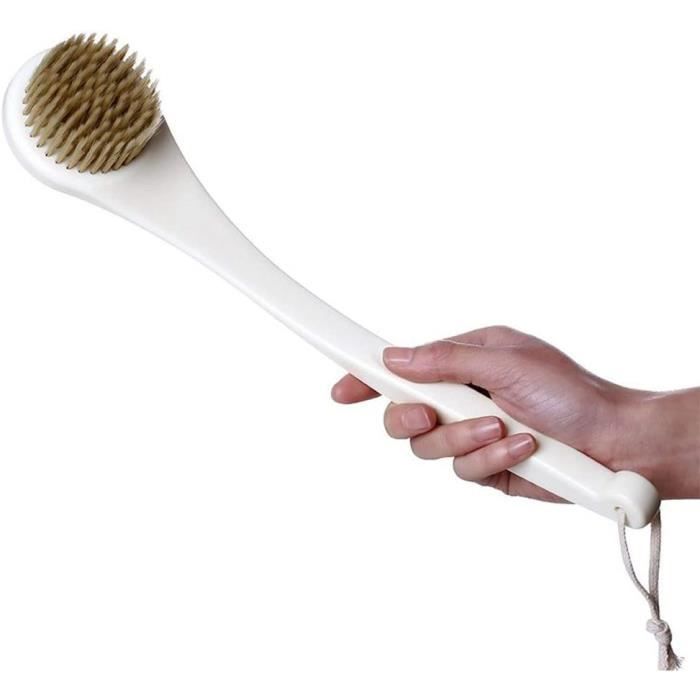 Lot De Toilettage Pour Chevaux Haas : Brosse Corps, Peigne Curry, Brosse Sabot Et Crinière