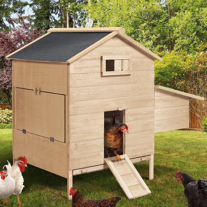 IDMarket Poulailler Chalet XL En Bois Avec Pondoir – Pour 4 à 6 Poules, Ultra Confortable