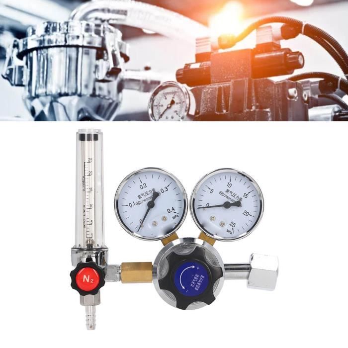 Réducteur De Pression Pour Gaz Azote Technic - Référence 2076 - Neuf