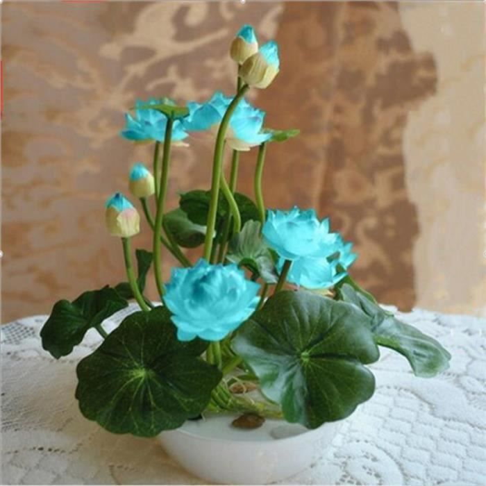 17: 100 Pcs Rare Bonsai Azalea Graines Vivace Fleur Graines Belles Plantes Graines De Fleurs Couverture Fleur Bonsaï Diy Plante Maison Jardin