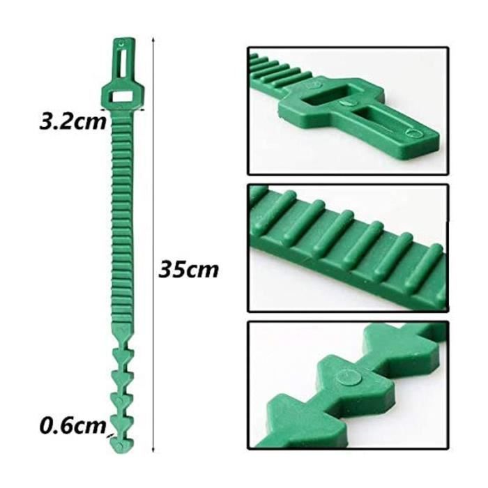 Lot De 2 Attaches Pour Arbres En Polyéthylène - 3 Cm X 50 M | Ruban Jardin Souple Pour Plantes Et Jeunes Arbres Protection Hiver Arbustes