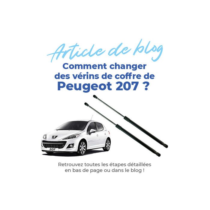 Lot 2 Vérins Coffre Peugeot 206 / 206+ (1998-2013) - 8731E6 9624602280 - Hayon 3/5 Portes