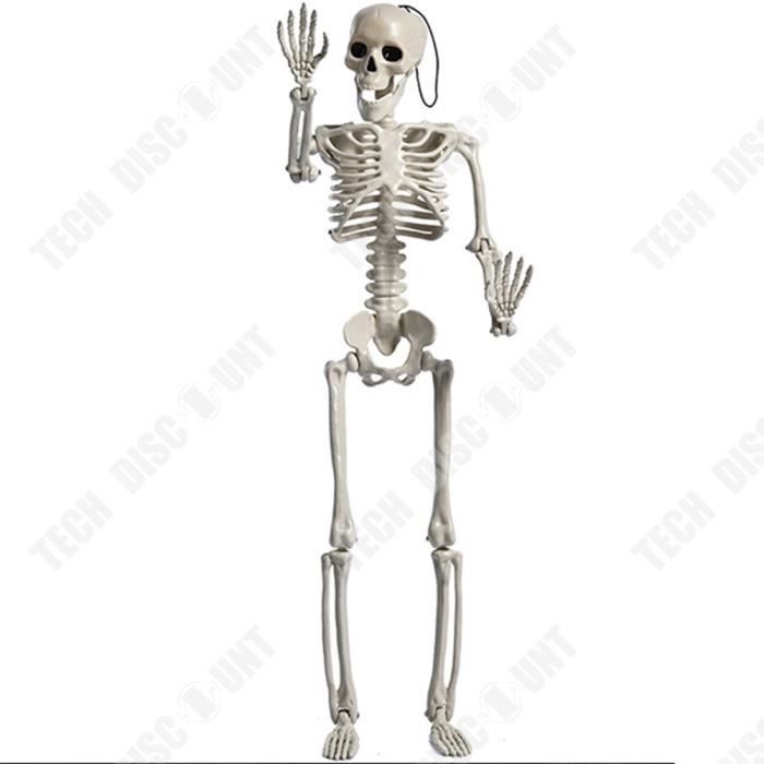 Squelette humain réaliste de 1,6 m avec articulations mobiles pour Halloween, maison hantée, décoration intérieure et extérieure (1 pièce Squelette humain réaliste de 1,6 m avec articulations mobiles pour Halloween, maison hantée, décoration intérieure et extérieure (1 pièce