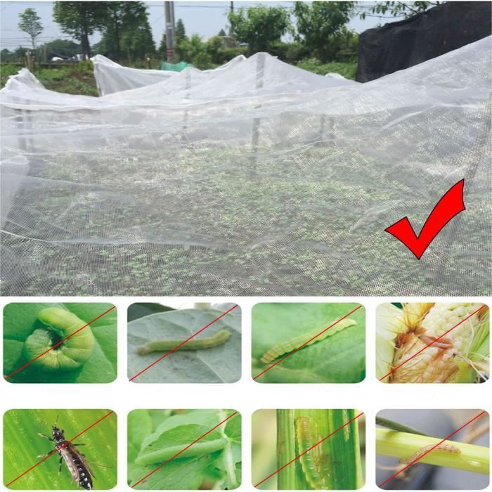 Filet anti-insectes, 3 x 6 m, pour oiseaux, protection jardin, prévenir parasites, endommager plantes, fruits légumes, plantes et étangs