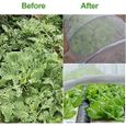 Filet anti grele，Filet anti-insectes pour serre jardin potager pour protéger les plantes, fleurs, légumes et fruits - 3 x 6 m-3