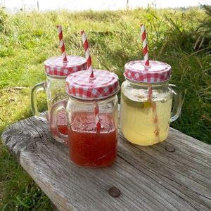 2000 Pailles Nere De Plastique 21 CM Scellés Réutilisables Apéritifs