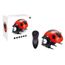jouet coccinelle