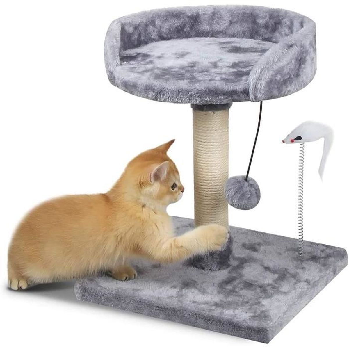 Korimefa Arbre A Chat Avec Griffoir En Sisal Pour Chaton Tour A Griffer Avec Pompon Suspendu Et Jouet De Souris Centre D Activites Cdiscount Animalerie Korimefa Arbre A Chat Avec Griffoir En Sisal Pour Chaton Tour A Griffer Avec Pompon Suspendu Et Jouet De Souris Centre D Activites Cdiscount Animalerie