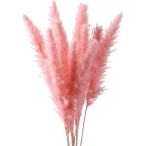 FLEUR ARTIFICIELLE 15pcs herbe de pampa séchée artificielle - bouquet