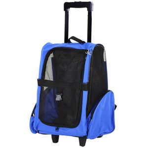 Un sac à dos pour transporter son chat développé par une Bordelaise -  France Bleu