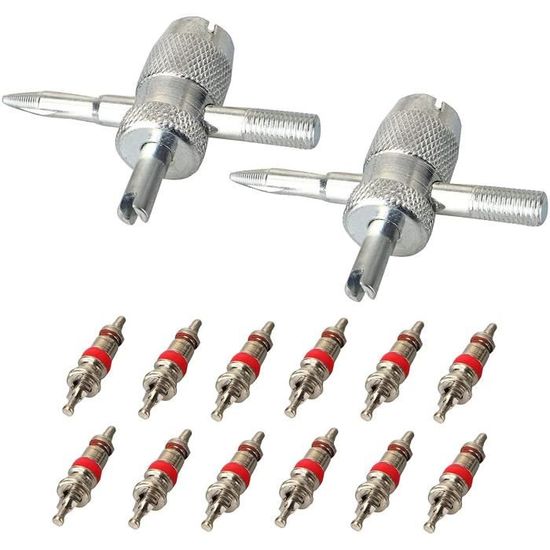 Kit De Réparation Valves Pneu 5 Pièces Tinoaly - Clés Démontage Noyau Valve Simple/double Et Extracteur 4 Voies - 11