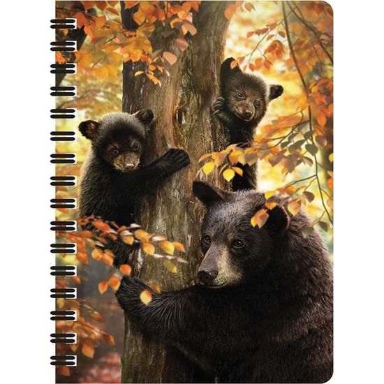 Bloc-note 3D LiveLife Chatons Rigolos - Format A6 (14,5x10,5 Cm), 80 Pages Recyclées, Couverture Rigide - 9