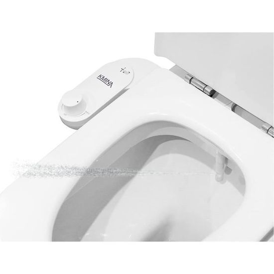 Bidet Toilette Intime d'Eau Froide, Pulvérisateur Bidet WC, Bidet