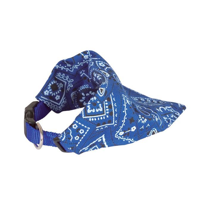 Collier chien bandana star bleu Taille : T2 - DOOGY CLASSIC